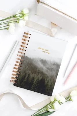 Bujo pistevihko spiraalisidonta kovilla kansilla - forest spirit